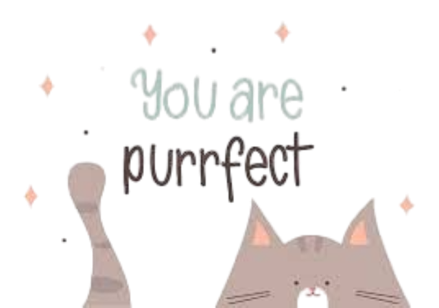 Katze, Haustier, Tier