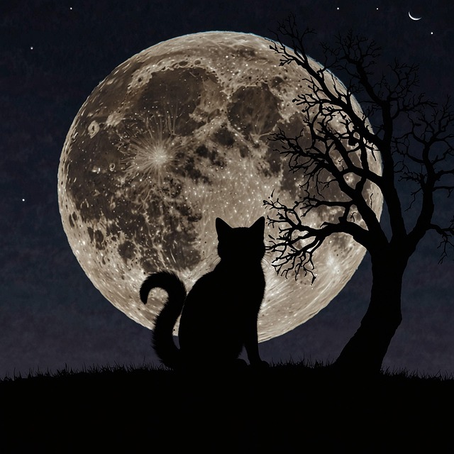 Free Ai Generated Cat illustration and picture