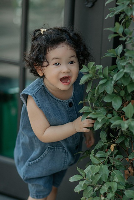 Free Sumin Mochi photo and picture