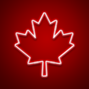Ahorn, Blad, Canada, Canadisk, Neon, Lys