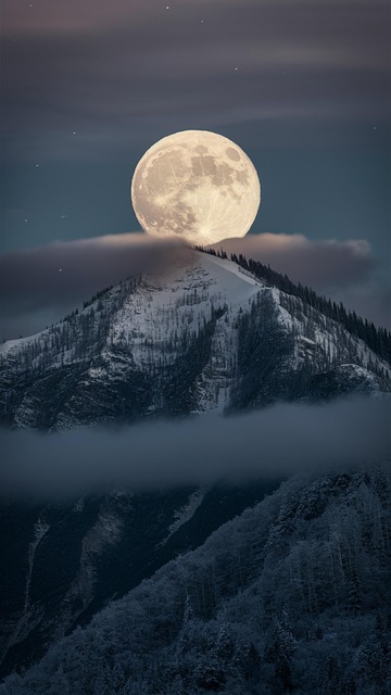 Free ai generated moon forest illustration
