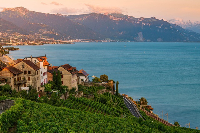 mountains, vineyard, houses, lake, freshwater lake, mountain house, switzerland, lake leman, nature, tourism