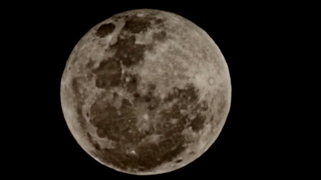 Free The Moon Moon photo and picture