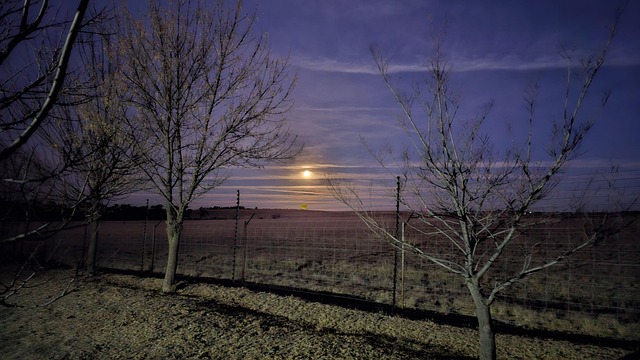 Free Moon Rise Moon photo and picture