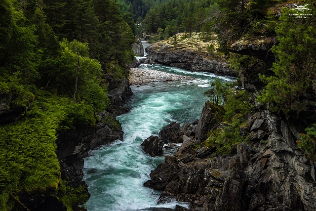 Free River Lake photo and picture