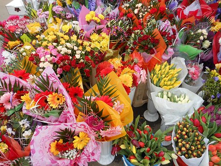 Flori, Florarie, Magazin, Culoare