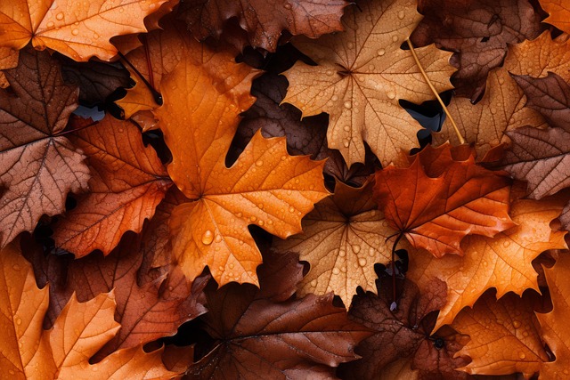 Free Ai Generated Leaves illustration and picture