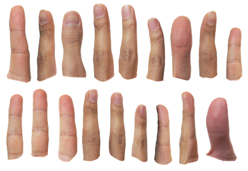 Finger, Menschliche Finger, Daumen, Hand