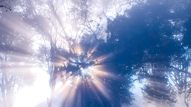 輝く太陽 太陽の光 太陽 - Pixabayの無料写真