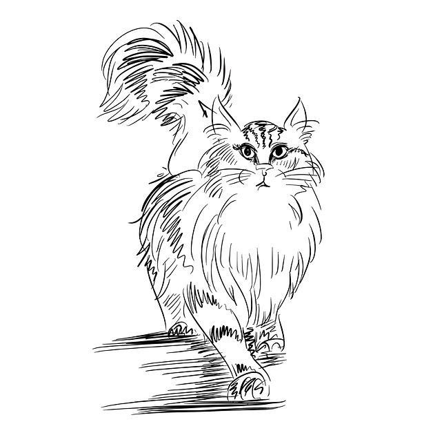 Kat, Dier, Schetsen, Kitty, Kunst