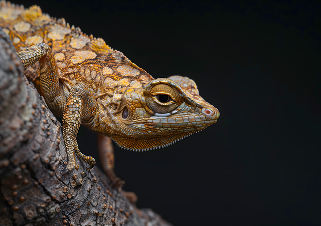 Free ai generated gecko lizard illustration