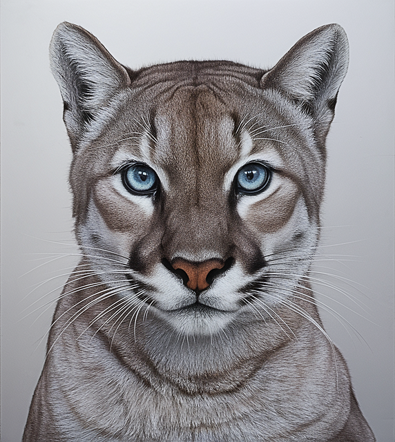Download free HD stock image of Ai Generated Puma Free ai generated puma animal illustration