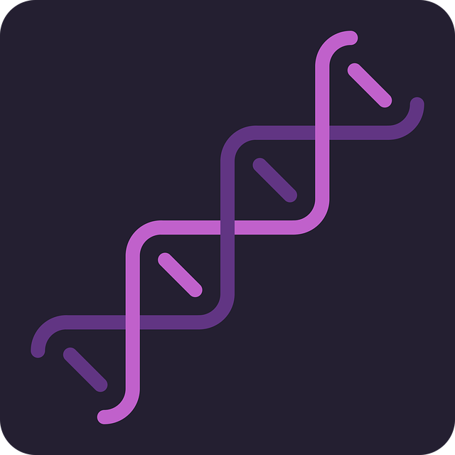 Free dna helix spiral vector