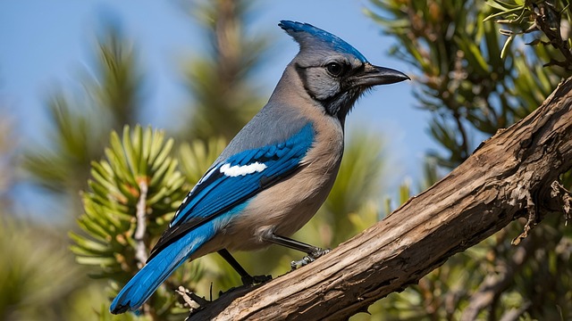 Free ai generated bird tree illustration