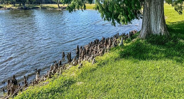 Free Limestone Lake photo and picture