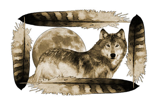 Wolf, Mond, Federn