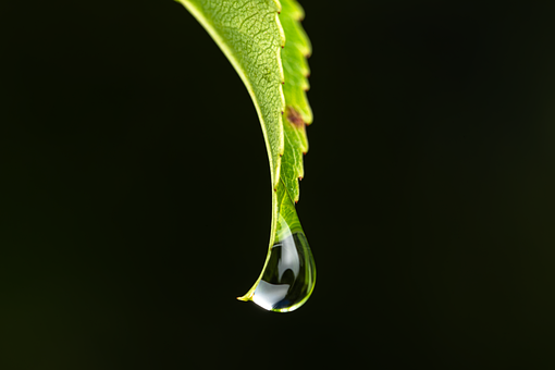 Free Waterdrop Drop illustration and picture