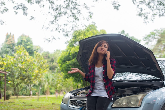 Free Motor Female photo and picture