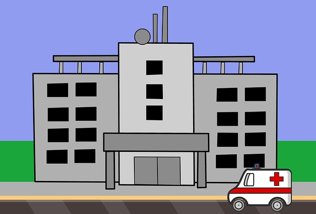 Free hospital healthcare health illustration