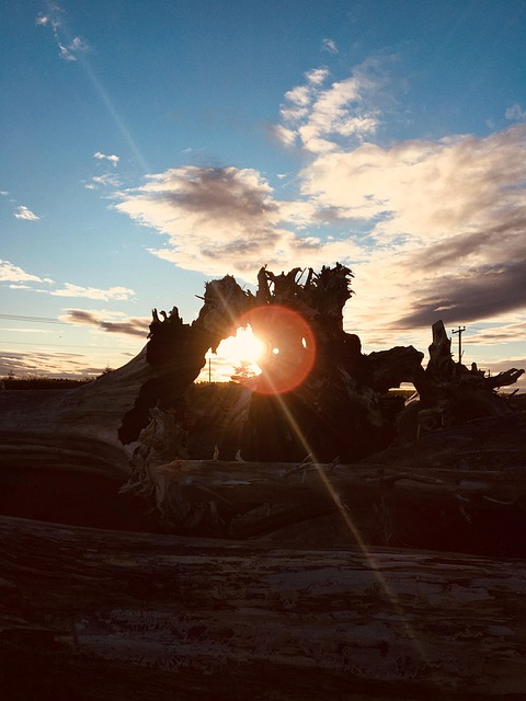 Free Sun Landscape photo and picture