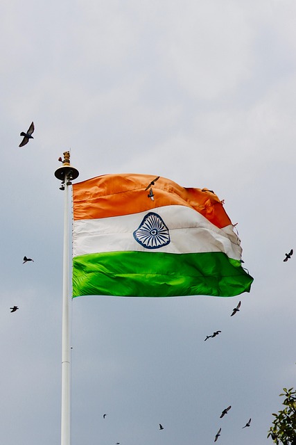 Free India Flag Indian photo and picture