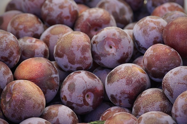 Plums, fruits, harvest and produce — photo by jhenning