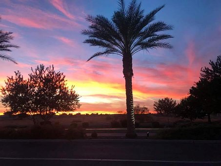 Free Sunset Nature photo and picture