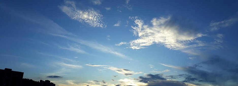 Free Darling Nature photo and picture