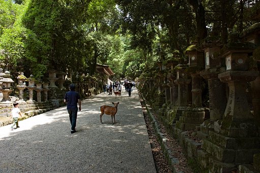 Free Japan Kansai-Region photo and picture