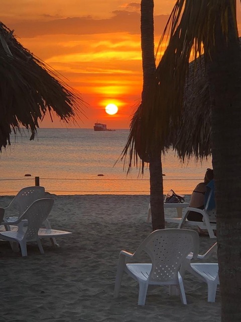Free Beach Nature photo and picture