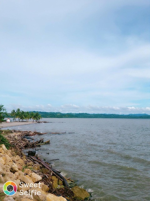 Free Beach Nature photo and picture