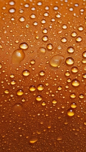 Free drop raindrops water illustration
