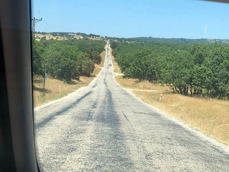 Jol, Ağaç, Ayrılık, Doğa, Yolculuk