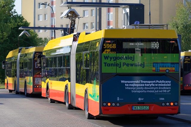 Il governo crea un sostegno fino a 4,5 milioni di euro per autobus a emissioni zero nell'Alentejo Litorale
