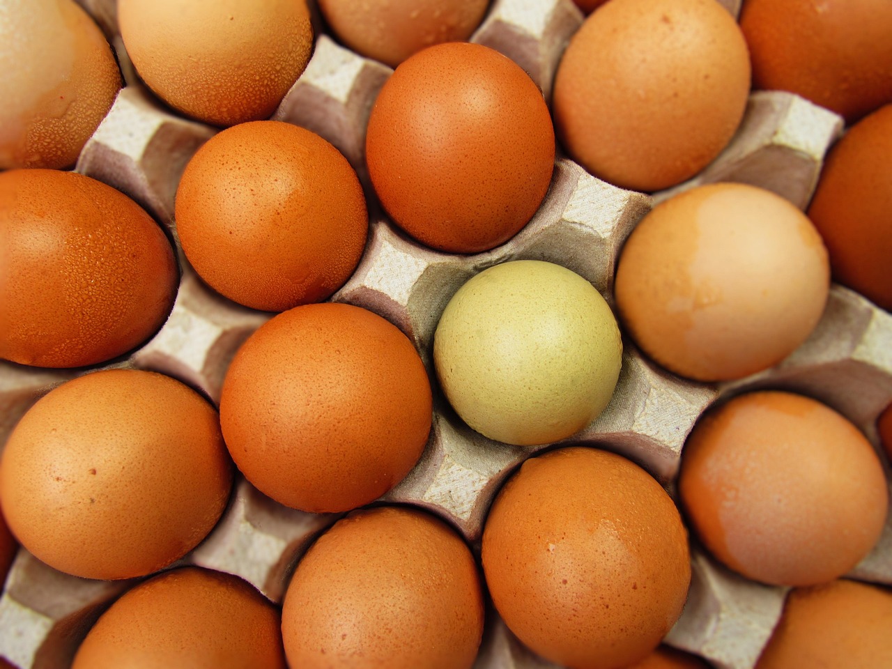Eggs - free online jigsaw puzzle photo