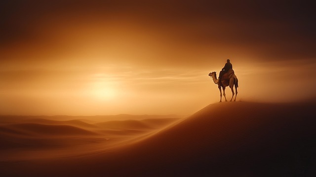 Free background image desert dromedary illustration