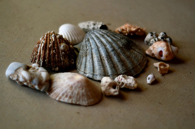 Free Sea Nature photo and picture