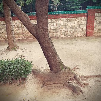 Free South Korea Korea photo and picture