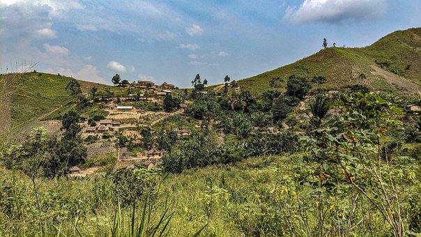 Bunyakiri, Kohle, Natur, Wald