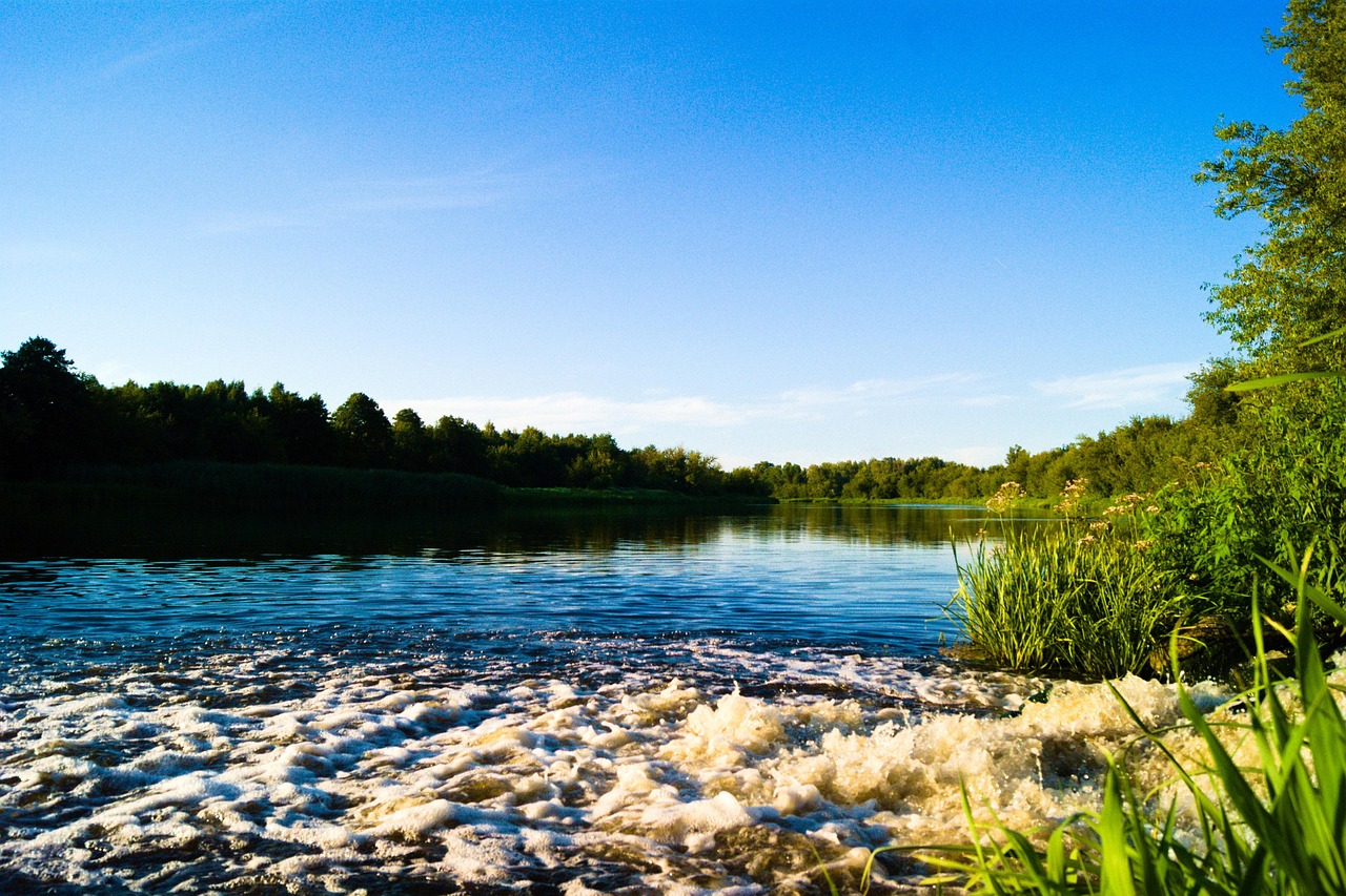 Agua Río Paisaje - Foto gratis en Pixabay - Pixabay