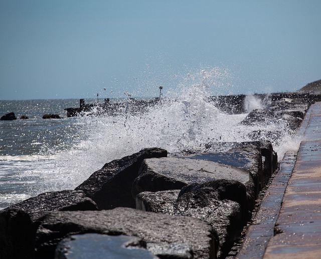 Free Sea Beach photo and picture