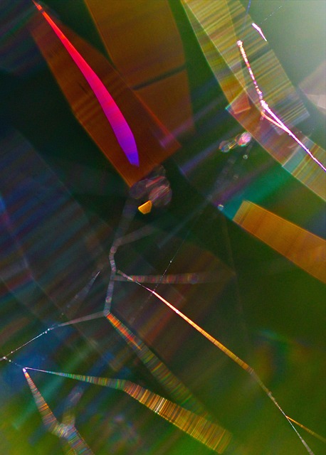 Free Spider Web Web photo and picture
