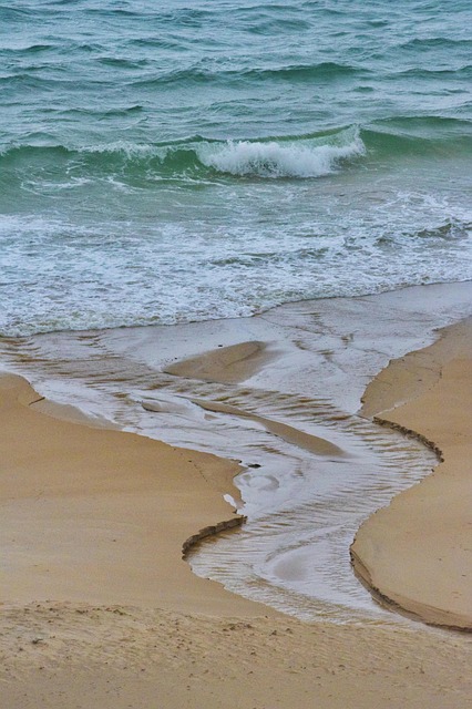 Free Water Beach photo and picture