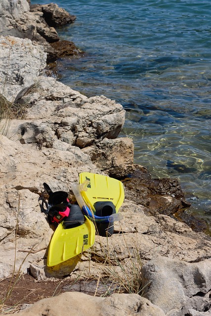 Free Snorkeling Nature photo and picture