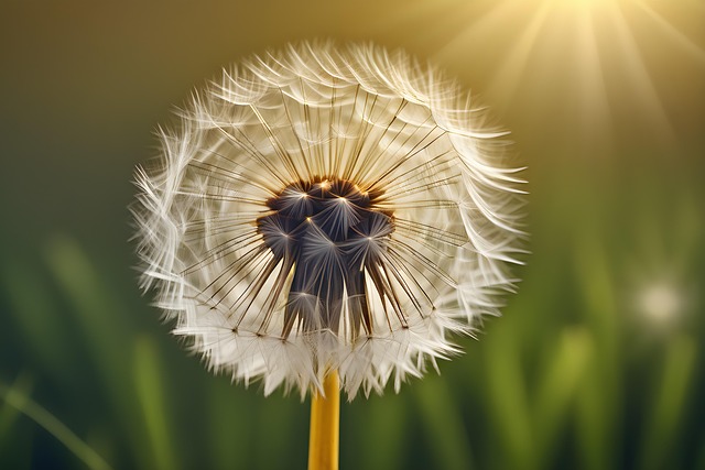 Download free HD stock image of Ai Generated Dandelion Free ai generated dandelion flower illustration