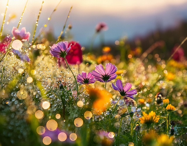 Free ai generated flowers meadow illustration