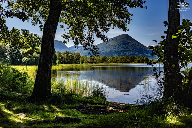 Free Lake Nature photo and picture