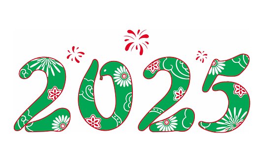 Nye År, 2025, Fest, Slangens År