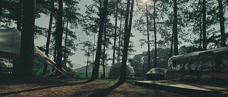Free Camp Sunlight photo and picture