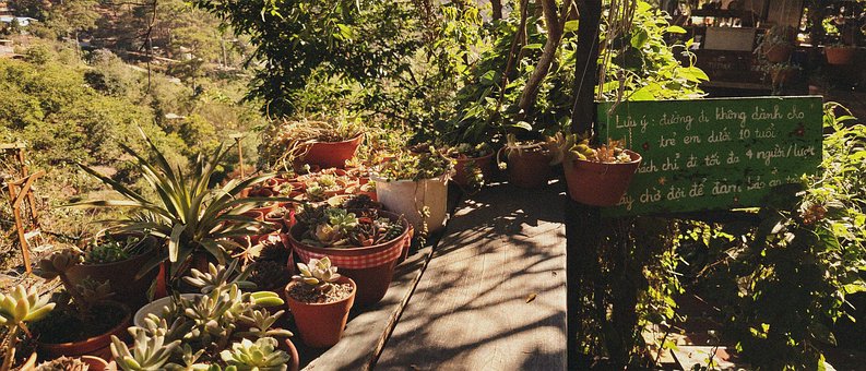 Free Homestay Sunlight photo and picture